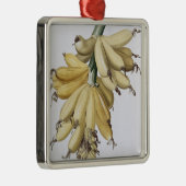 Banane, 1816 silbernes ornament (Rechts)