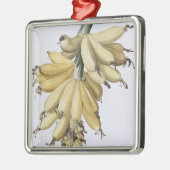 Banane, 1816 silbernes ornament (Links)