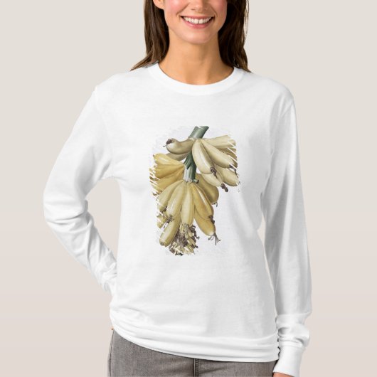 Banane, 1816 T-Shirt (Vorderseite)