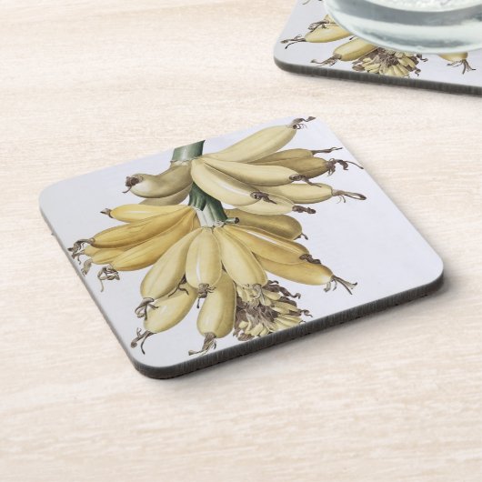 Banane, 1816 untersetzer (Linke Seite)