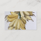 Banane, 1816 visitenkarte (Rückseite)