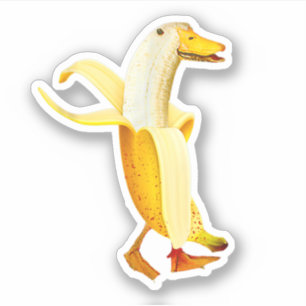 Banane Ente. Lustige Anthropomorphe Früchte Tiere Aufkleber