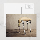 Banane Postkarte (Vorne/Hinten)