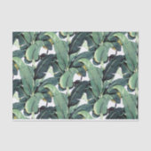 Banane verlässt Palme tropisches 10lb Seidenpapier (Vorderseite)