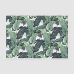 Banane verlässt Palme tropisches 10lb Seidenpapier