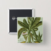 Banane, von Phytanthoza Iconographi J.weinmanns Button (Vorne & Hinten)