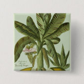 Banane, von Phytanthoza Iconographi J.weinmanns Button (Vorderseite)