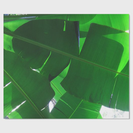 Bananen-Blätter Geschenkpapier (Flach)