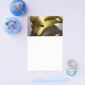 Bananen Flyer (Einzeln)