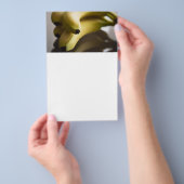 Bananen Flyer (Handgriff)