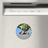 Bananen Frucht Magnet (In Situ (Geschirrspüler))