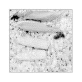 Bananen Gummistempel (Prägung)