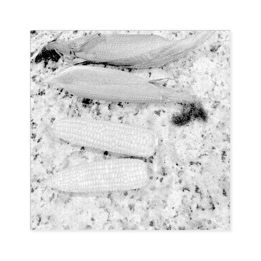 Bananen Gummistempel (Prägung)