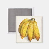 Bananen Magnet (Vorderseite/Rückseite)