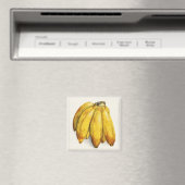 Bananen Magnet (In Situ (Geschirrspüler))