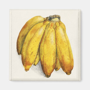Bananen Magnet
