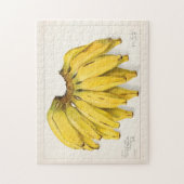Bananen (Musa) Fruchtfarben Puzzle (Vertikal)