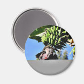 Bananen Obst Magnet (Vorderseite/Rückseite)