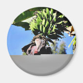 Bananen Obst Magnet (Vorne)