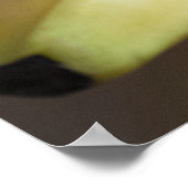 Bananen Poster (Ecke)