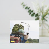 Bananen Postkarte (Stehend Vorderseite)