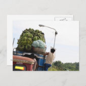 Bananen Postkarte (Vorne/Hinten)