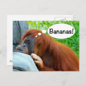 Bananen! Postkarte (Vorne/Hinten)