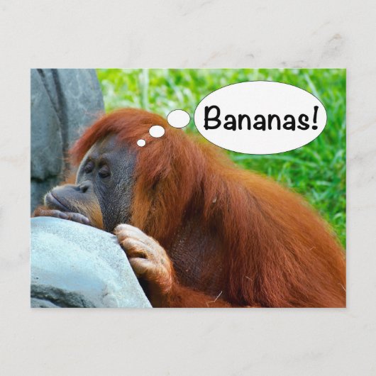 Bananen! Postkarte (Vorderseite)