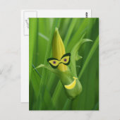 Bananen Postkarte (Vorne/Hinten)