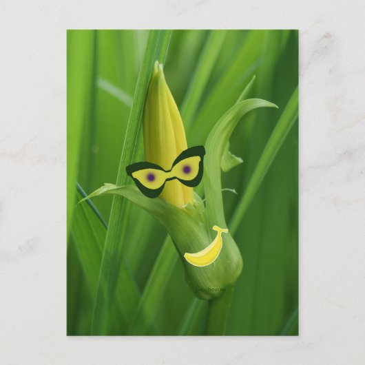 Bananen Postkarte (Vorderseite)