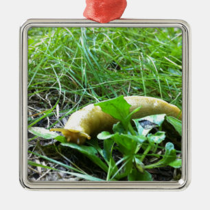 Bananen-Schnecke Silbernes Ornament