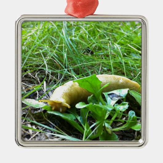 Bananen-Schnecke Silbernes Ornament (Vorne)