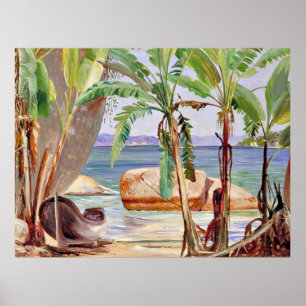 Bananen und Steine in Paqueta, Brasilien, Poster