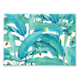 Bananen-Wald Fotodruck