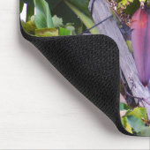 Bananenbaum auf Madeira Mousepad (Ecke)