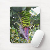 Bananenbaum auf Madeira Mousepad (Mit Mouse)