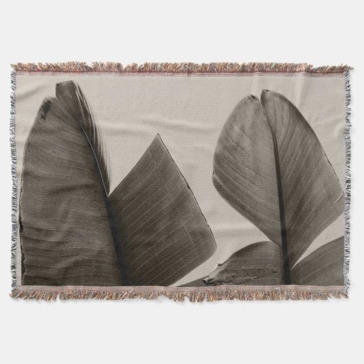 Bananenbaum-Blätter in Sepia Decke (Vorderseite)