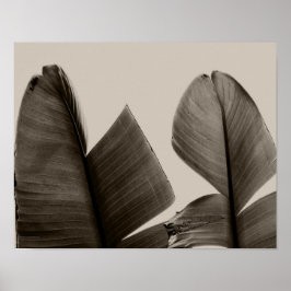 Bananenbaum-Blätter in Sepia Poster
