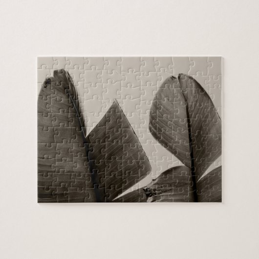 Bananenbaum-Blätter in Sepia Puzzle (Horizontal)