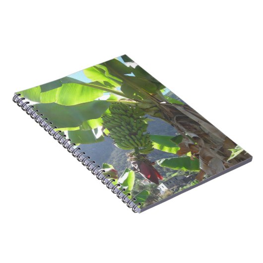 Bananenbaum mit Blume-Notebook Notizblock (Rechte Seite)