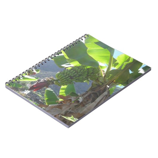 Bananenbaum mit Blume-Notebook Notizblock (Linke Seite)