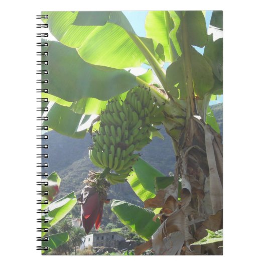 Bananenbaum mit Blume-Notebook Notizblock (Vorderseite)