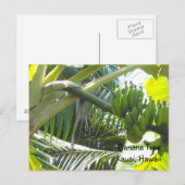 Bananenbaum Postkarte (Vorne/Hinten)