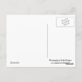 Bananenbaum Postkarte (Rückseite)