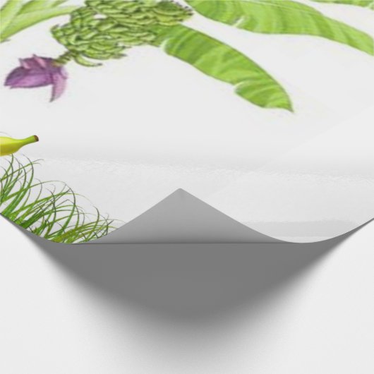 Bananenbaum-Umschlagpapier Geschenkpapier (Ecke)