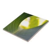 Bananenblatt Fliese (Seite)