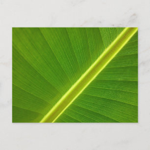 Bananenblatt Postkarte
