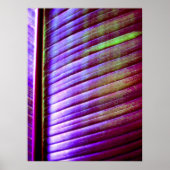 (Bananenblätter) Plakatwerbung Poster (Vorne)