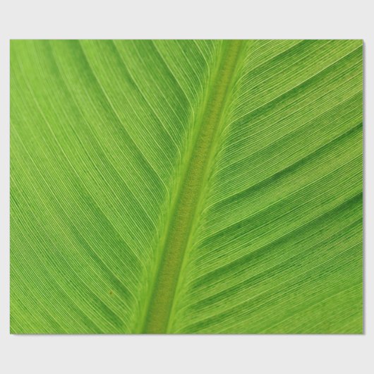 Bananenblättrige Bananenfasern Geschenkpapier (Flach)