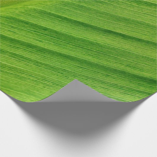Bananenblättrige Bananenfasern Geschenkpapier (Ecke)